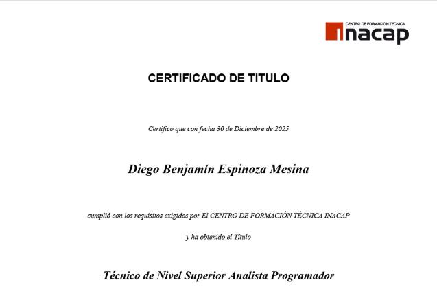 Analista Programador